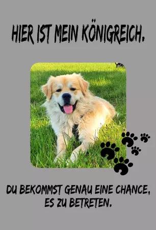 Hunde Warnschild Zutritt verbotenHunde Hier ist mein Königreich Bild
