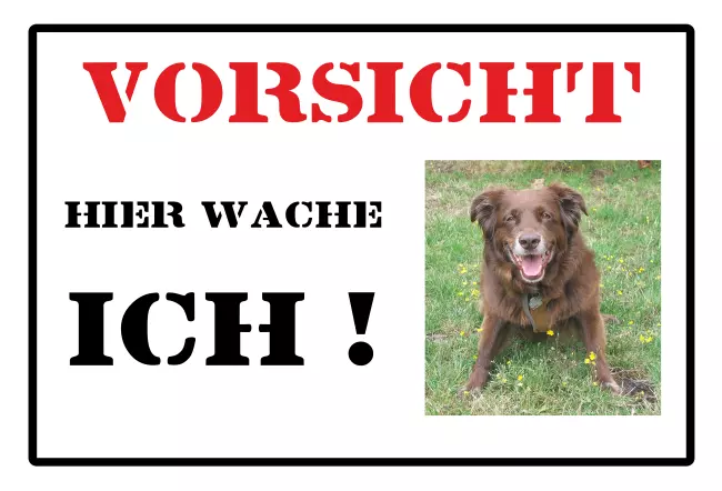 Hunde Warnschild Zutritt verboten Hunde Hier wache ICH! Bild