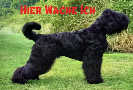 Hunde Warnschild Zutritt verbotenHunde HIER WACHE ICH Bild