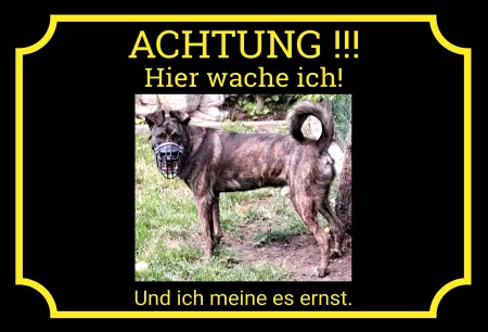 Hunde Warnschild Zutritt verbotenHunde Hier wache ich! Bild