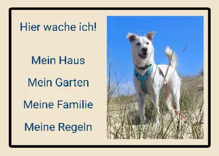 Hunde Warnschild Zutritt verbotenHunde Hier wache ich! Bild