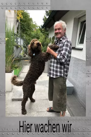 Hunde Warnschild Zutritt verbotenHunde Hier wachen wir Bild