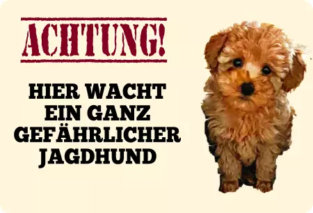 Hunde Warnschild Zutritt verbotenHunde Hier wacht ein ganz gefährlicher Jagdhund Bild
