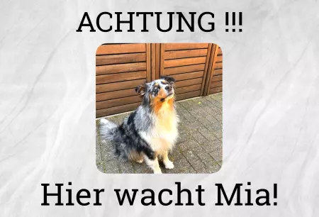 Hunde Warnschild Zutritt verbotenHunde Hier wacht Mia! Bild