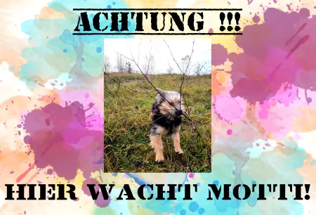 Hunde Warnschild Zutritt verboten Hunde HIER WACHT MOTTI! Bild
