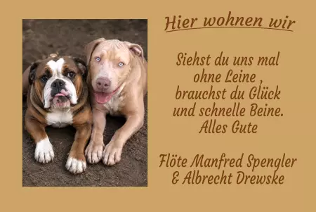 Hunde Warnschild Zutritt verbotenHunde Hier wohnen wir Bild
