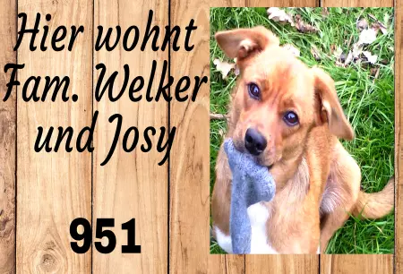 Hunde Warnschild Zutritt verbotenHunde Hier wohnt Josy Bild
