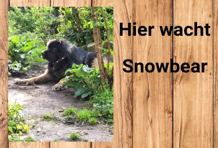 Hunde Warnschild Zutritt verbotenHunde Hier wohnt Snowbear Bild