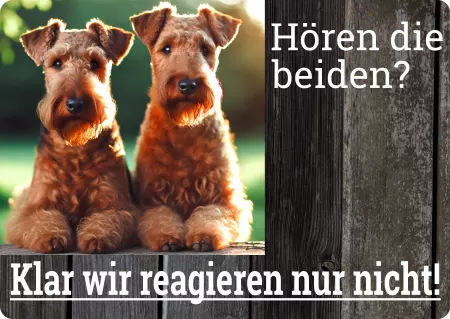 Hunde Warnschild Zutritt verboten Hunde Hören die Beiden? Bild