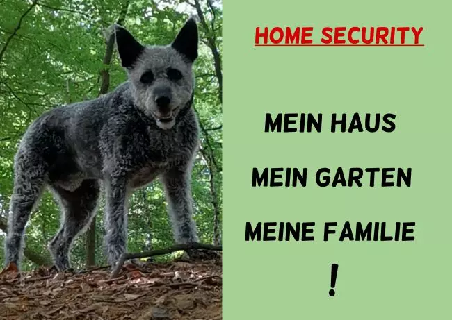 Hunde Warnschild Zutritt verboten Hunde Home Security Bild
