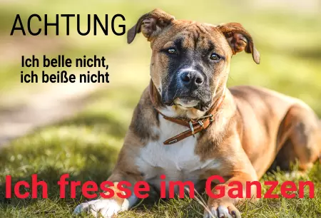 Hunde Warnschild Zutritt verbotenHunde Ich belle nicht, ich beiße nicht, ich ... Bild