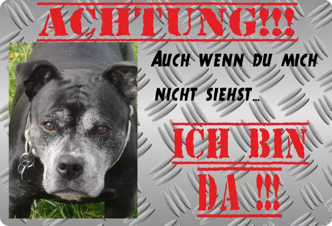 Hunde Warnschild Zutritt verboten Hunde ICH BIN DA !!! Bild