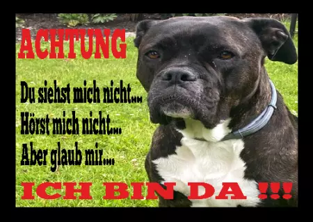 Hunde Warnschild Zutritt verboten Hunde ICH BIN DA !!!!! Bild