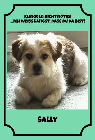 Hunde Warnschild Zutritt verbotenHunde Klingeln nicht nötig! Bild