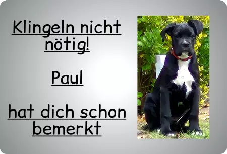 Hunde Warnschild Zutritt verbotenHunde Klingeln nicht nötig! Bild