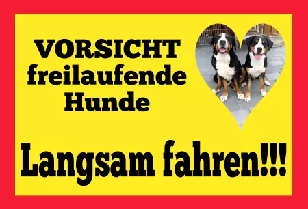 Hunde Warnschild Zutritt verboten Hunde Langsam fahren - Hunde Bild