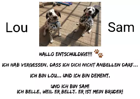 Hunde Warnschild Zutritt verbotenHunde LOU & SAM Bild