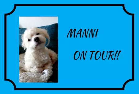 Hunde Warnschild Zutritt verbotenHunde MANNI ON TOUR Bild