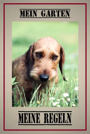 Hunde Warnschild Zutritt verboten Hunde MEIN GARTEN - MEINE REGELN Bild