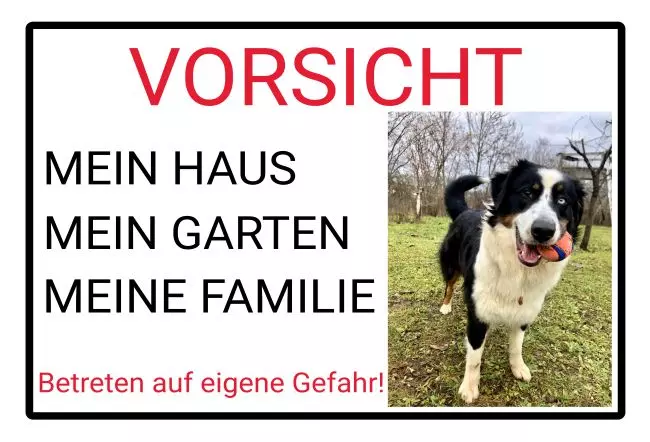 Hunde Warnschild Zutritt verboten Hunde Mein Haus... Bild