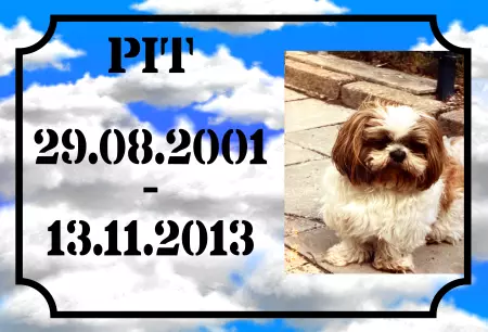 Hunde Warnschild Zutritt verbotenHunde PIT Bild