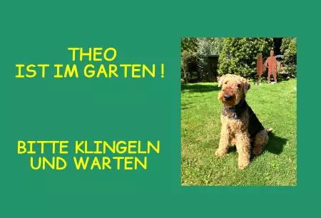 Hunde Warnschild Zutritt verbotenHunde Theo ist im Garten! Bild