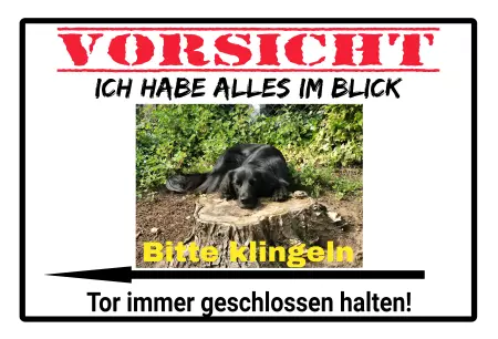 Hunde Warnschild Zutritt verboten Hunde Tor geschlossen halten Bild