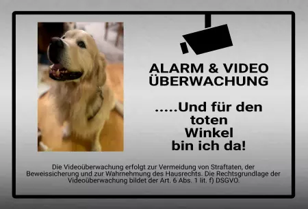 Hunde Warnschild Zutritt verbotenHunde ... und für den toten Winkel bin ich da! Bild