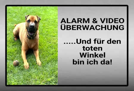 Hunde Warnschild Zutritt verboten Hunde ... Und für den toten Winkel bin ich da! Bild