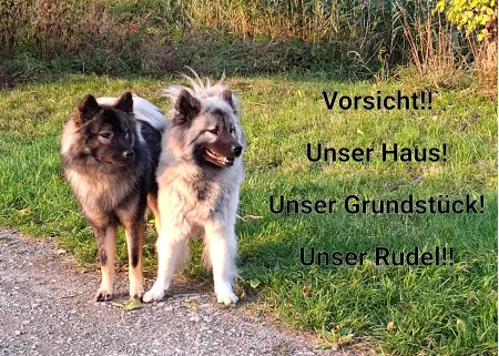 Hunde Warnschild Zutritt verboten Hunde Unser Haus! Unser Grundstück! Unser Rudel! Bild
