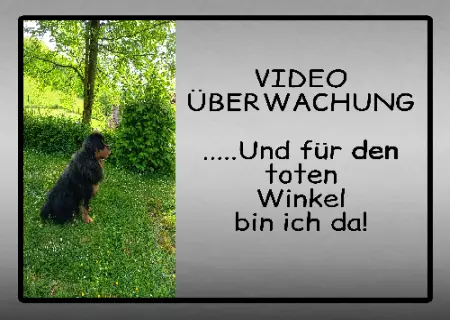 Hunde Warnschild Zutritt verboten Hunde VIDEO ÜBERWACHUNG ... Bild