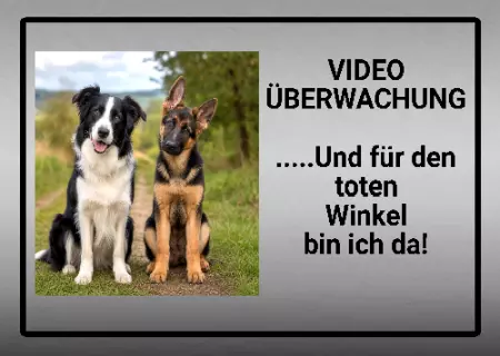 Hunde Warnschild Zutritt verbotenHunde VIDEO ÜBERWACHUNG Bild