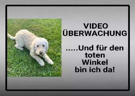 Hunde Warnschild Zutritt verboten Hunde VIDEO ÜBERWACHUNG Bild