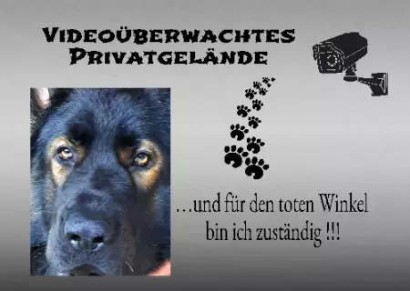 Hunde Warnschild Zutritt verbotenHunde Videoüberwachtes Privatgelände Bild