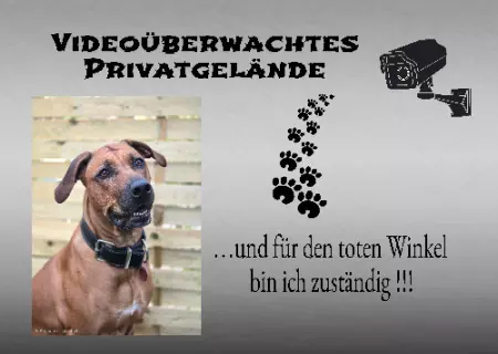 Hunde Warnschild Zutritt verbotenHunde Videoüberwachtes Privatgelände Bild