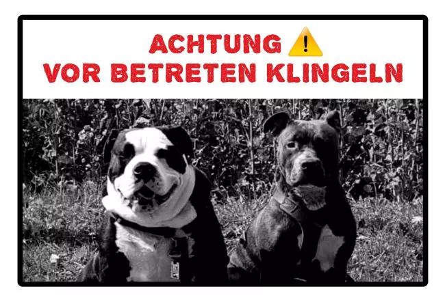Hunde Warnschild Zutritt verboten Hunde Vor betreten klingeln Bild