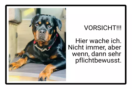 Hunde Warnschild Zutritt verboten Hunde VORSICHT!!! Bild