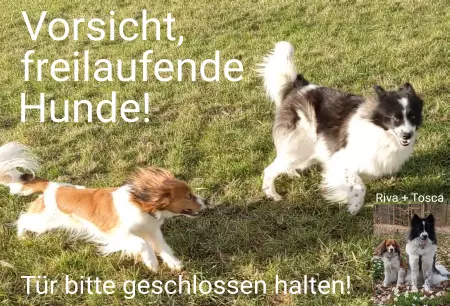Hunde Warnschild Zutritt verboten Hunde Vorsicht freilaufende Hunde! Bild