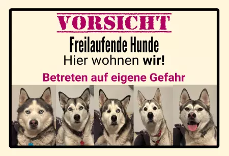 Hunde Warnschild Zutritt verbotenHunde VORSICHT Freilaufende Hunde Bild