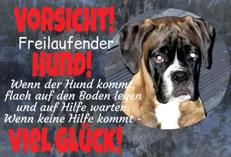 Hunde Warnschild Zutritt verbotenHunde VORSICHT - Freilaufender Hund Bild
