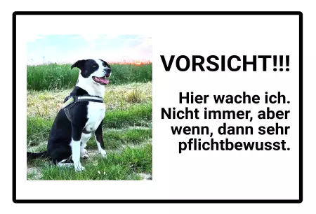Hunde Warnschild Zutritt verbotenHunde VORSICHT!  Hier wache ich. Nicht immer, aber ... Bild