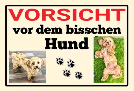 Hunde Warnschild Zutritt verboten Hunde VORSICHT vor dem bisschen Hund Bild
