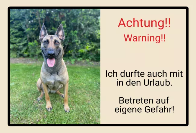 Hunde Warnschild Zutritt verboten Hunde Warning Bild