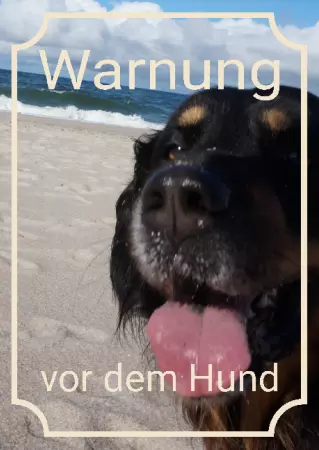 Hunde Warnschild Zutritt verboten Hunde Warnung vor dem Hund Bild