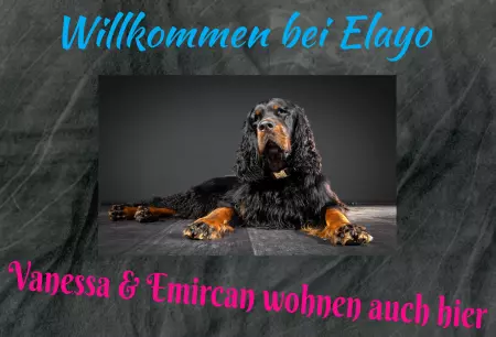 Hunde Warnschild Zutritt verbotenHunde Willkommen bei Elago Bild