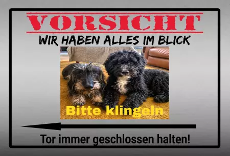 Hunde Warnschild Zutritt verboten Hunde Wir haben alles im Blick Bild